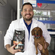 Dermatología de la mano de la nutrición de nuestras mascotas