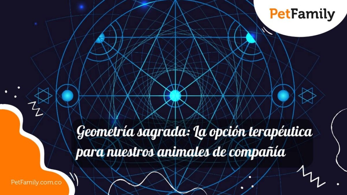 Geometría sagrada: La opción terapéutica para nuestros animales de compañía