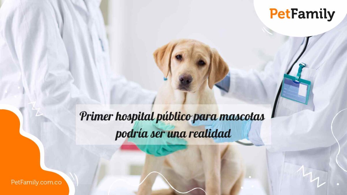 Primer hospital público para mascotas en Bogotá