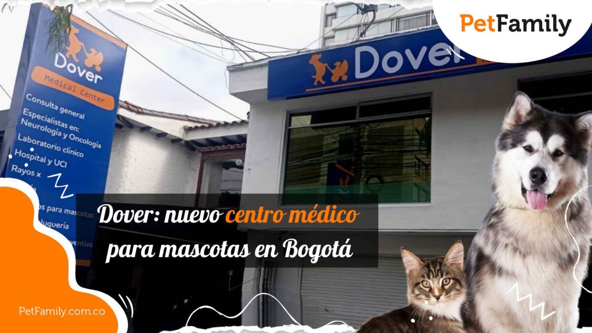 Dover: nuevo centro médico para mascotas en Bogotá