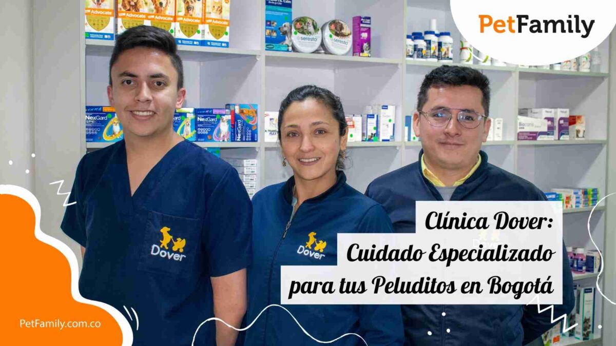 Clínica Dover: Cuidando las Sonrisas Peludas en Bogotá