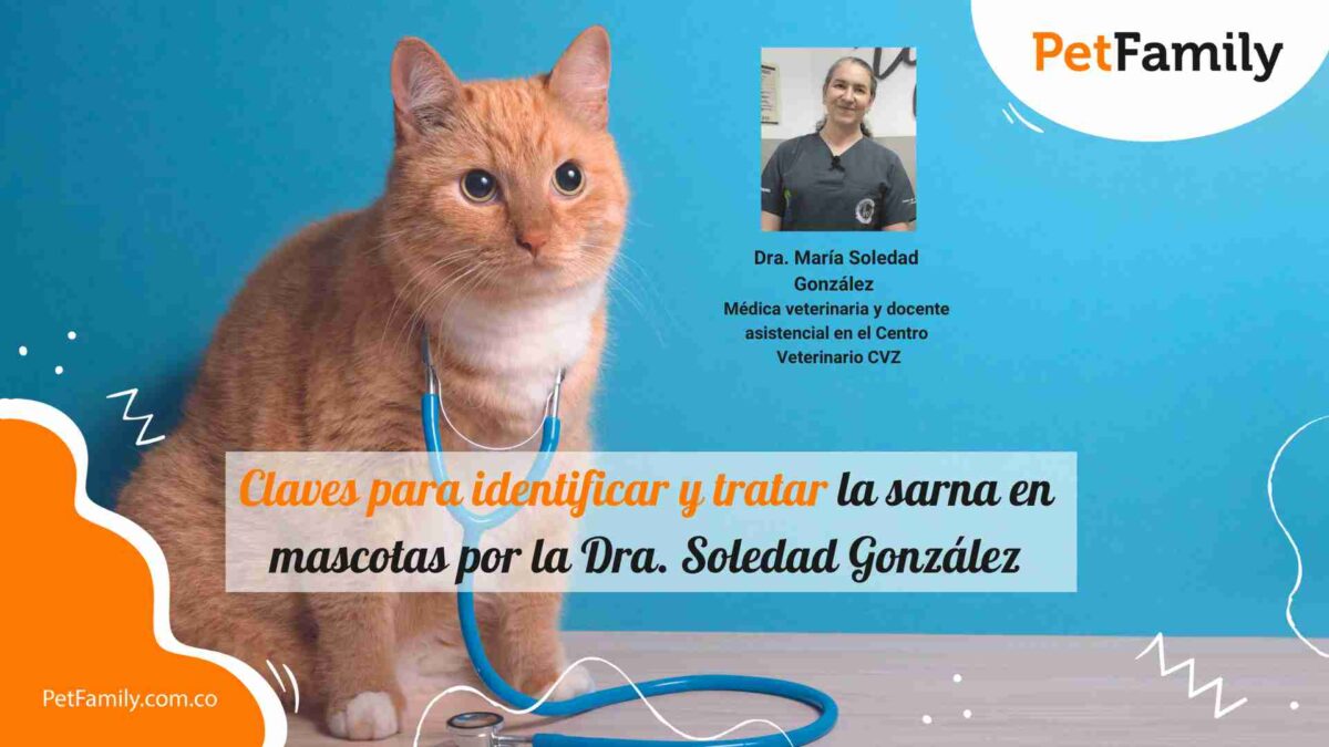 Claves para identificar y tratar la sarna en mascotas por la Dra. Soledad González 