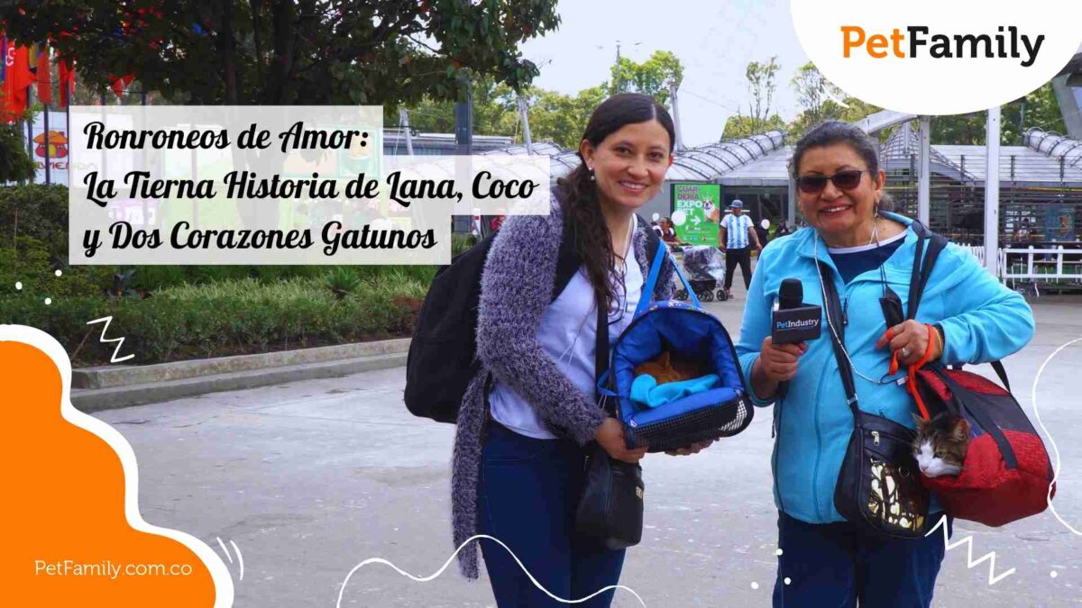 Ronroneos de Amor: La Tierna Historia de Lana, Coco y Dos Corazones Gatunos
