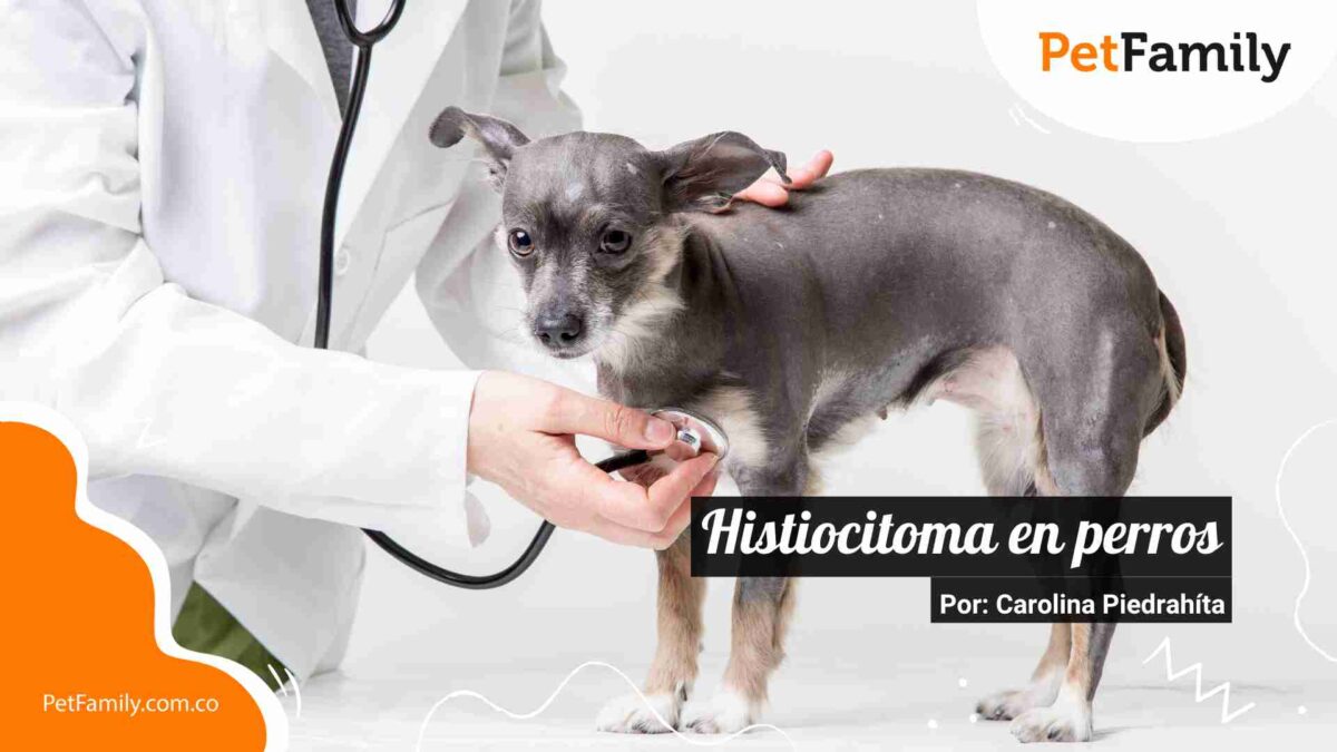 Histiocitoma en perro