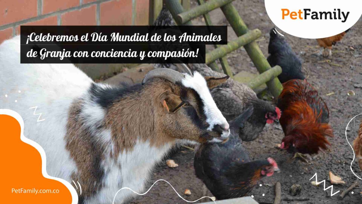 ¡Celebremos el Día Mundial de los Animales de Granja con conciencia y compasión!
