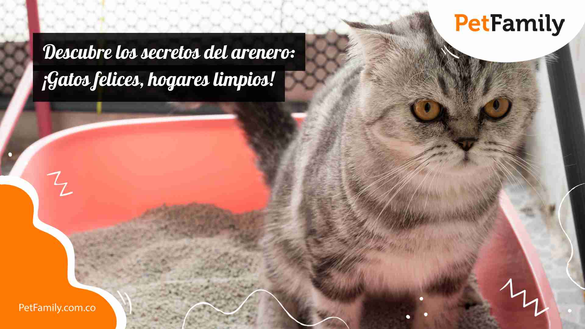 Descubre los secretos del arenero: ¡Gatos felices, hogares limpios! 