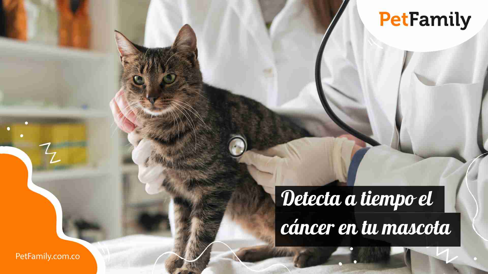 Detecta a tiempo el cáncer en tu mascota 