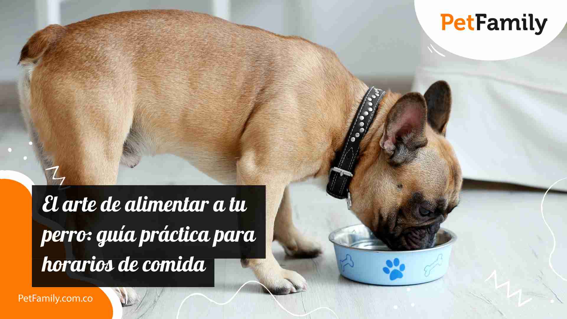 El arte de alimentar a tu perro: guía práctica para horarios de comida 