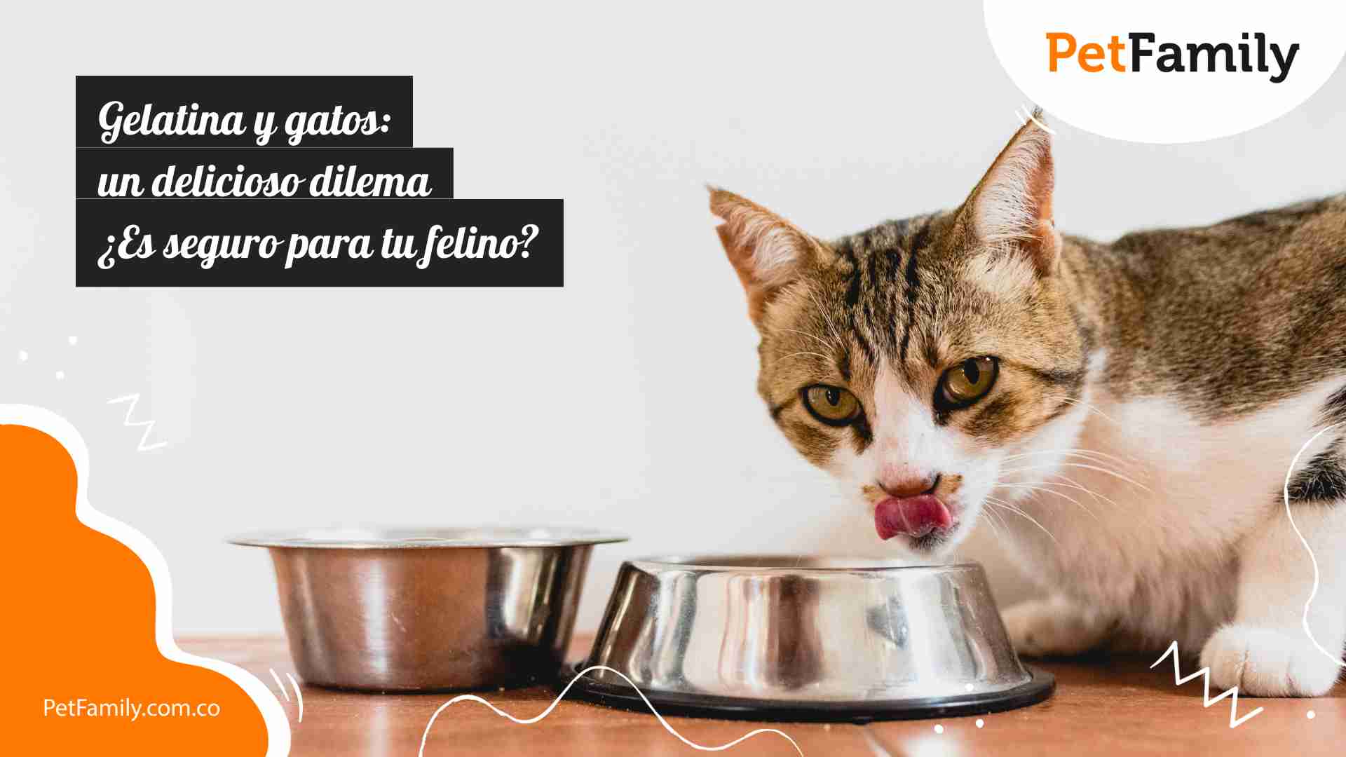 Gelatina y gatos: un delicioso dilema ¿Es seguro para tu felino? 