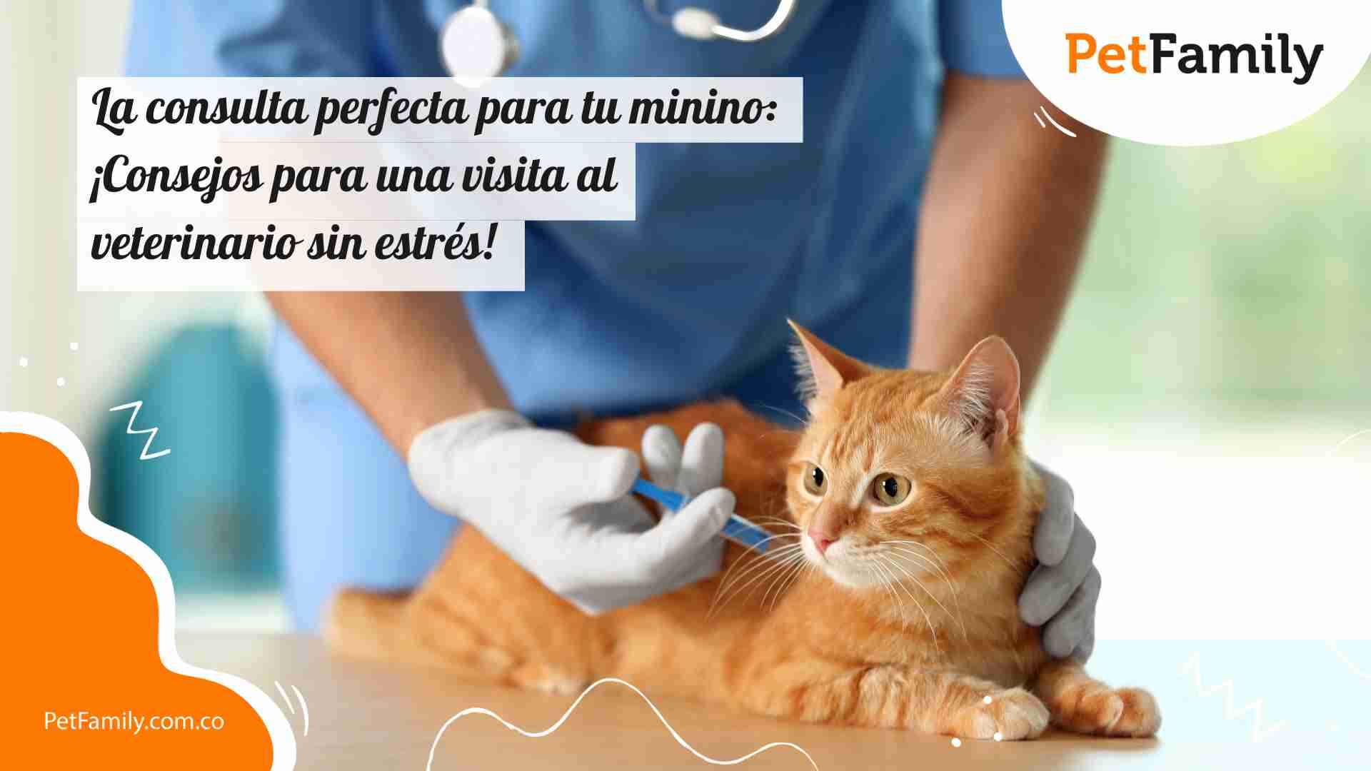 La consulta perfecta para tu minino: ¡Consejos para una visita al veterinario sin estrés! 