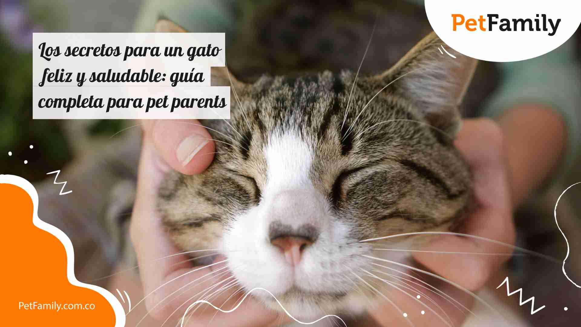Los secretos para un gato feliz y saludable: guía completa para pet parents 
