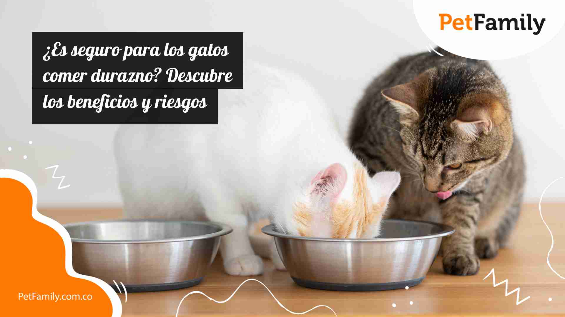 ¿Es seguro para los gatos comer durazno? Descubre los beneficios y riesgos 