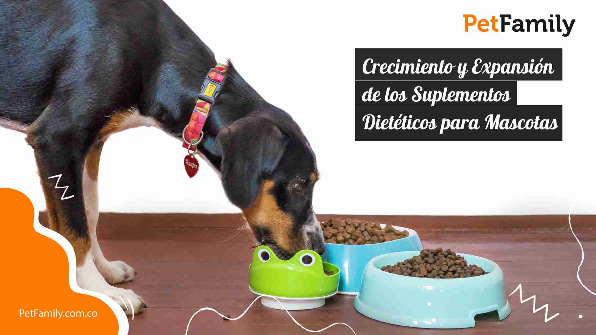Crecimiento y Expansión de los Suplementos Dietéticos para Mascotas 