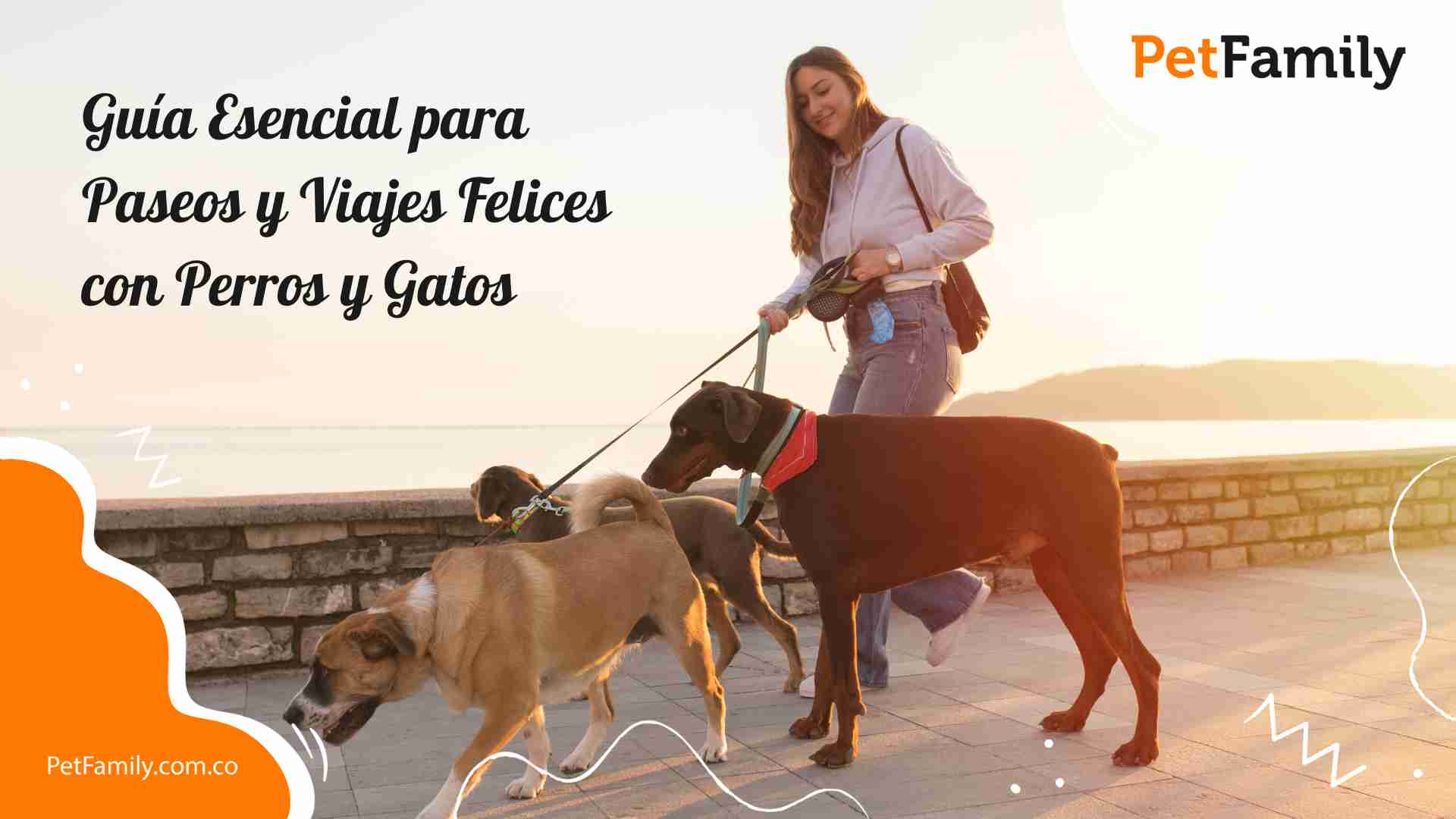 Guía Esencial para Paseos y Viajes Felices con Perros y Gatos 