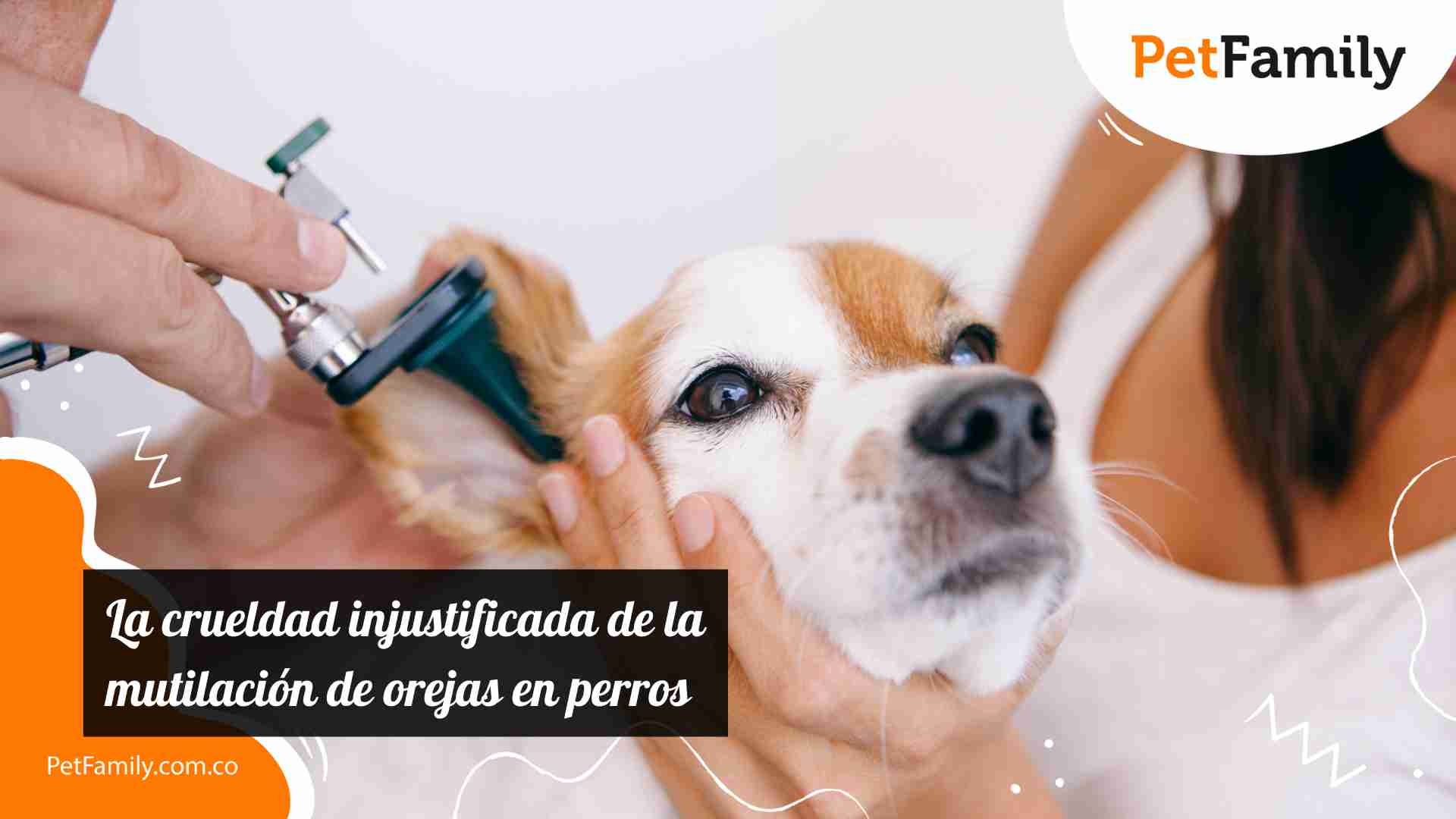 La crueldad injustificada de la mutilación de orejas en perros 