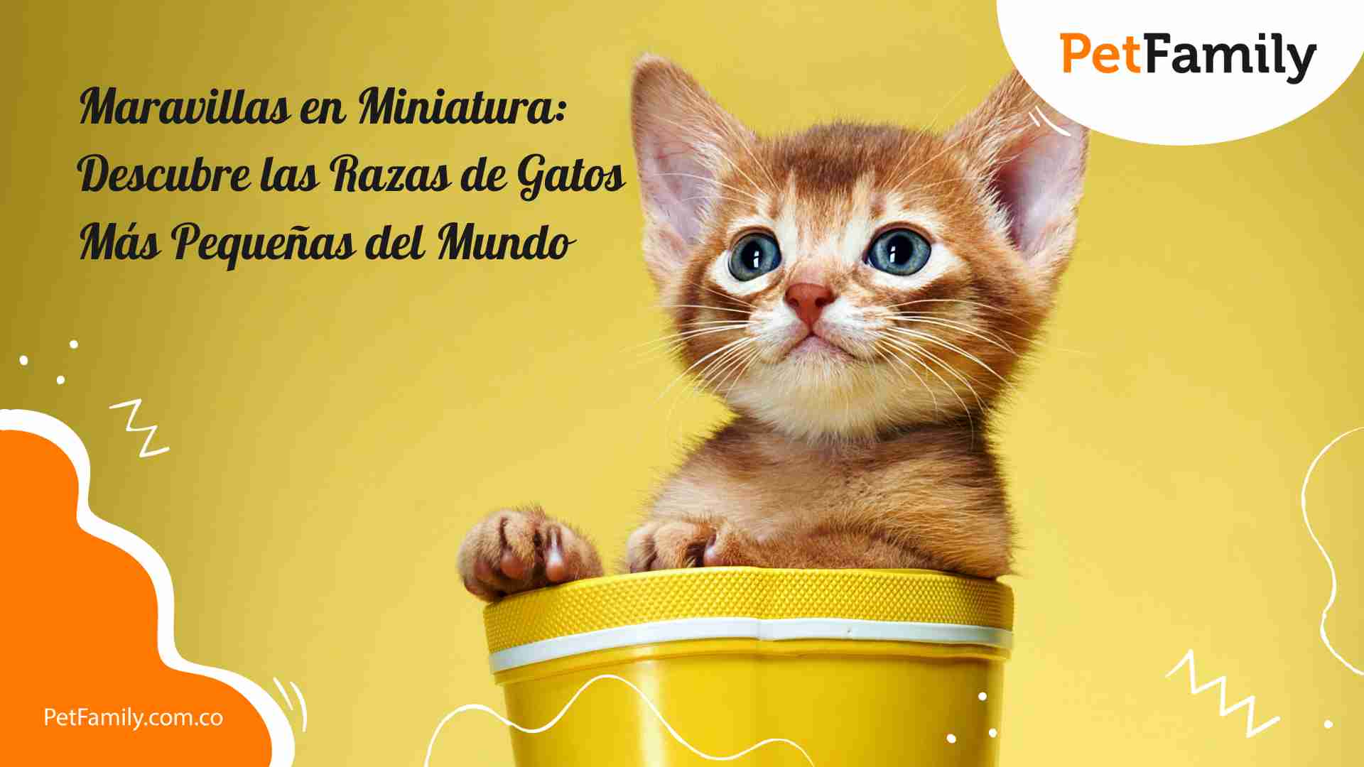 Maravillas en Miniatura: Descubre las Razas de Gatos Más Pequeñas del Mundo 