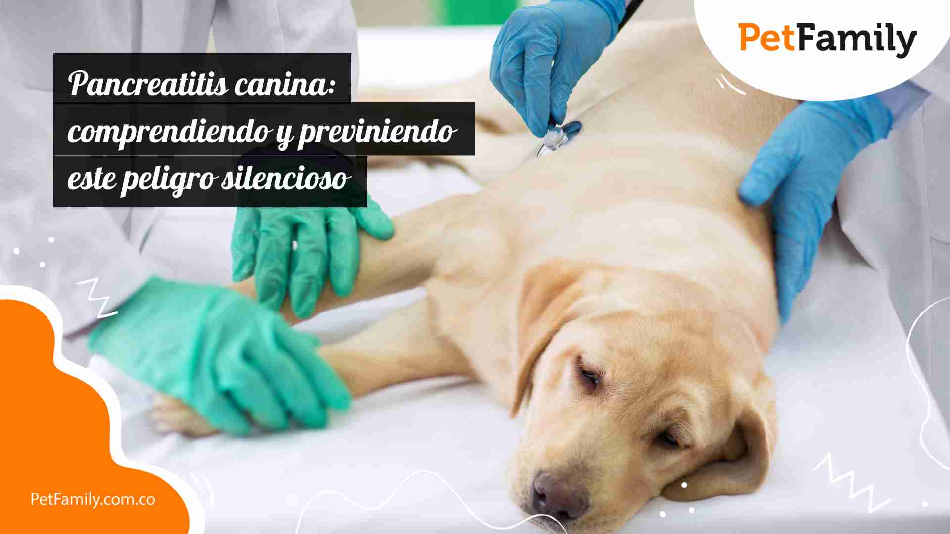 Pancreatitis canina: comprendiendo y previniendo este peligro silencioso 