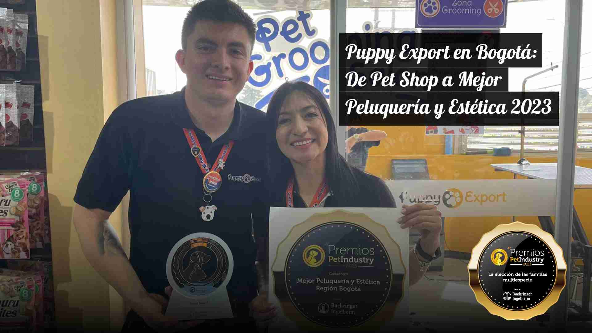 Puppy Export en Bogotá: De Pet Shop a Mejor Peluquería y Estética 2023