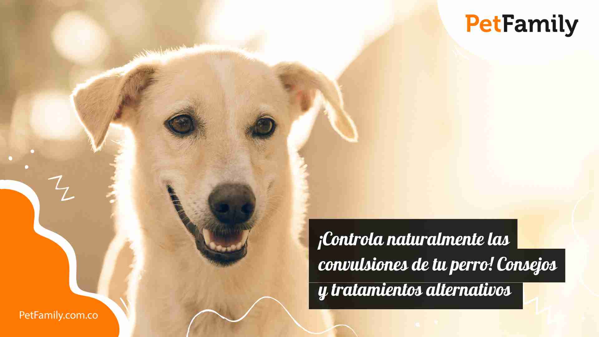 ¡Controla naturalmente las convulsiones de tu perro! Consejos y tratamientos alternativos 