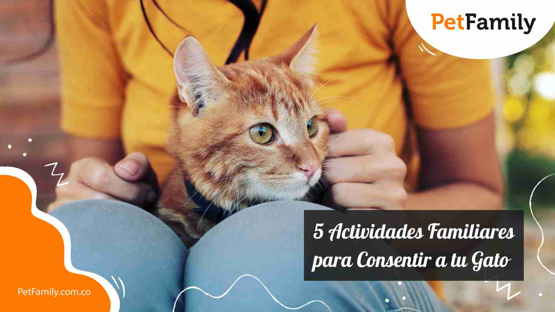 5 Actividades Familiares para Consentir a tu Gato