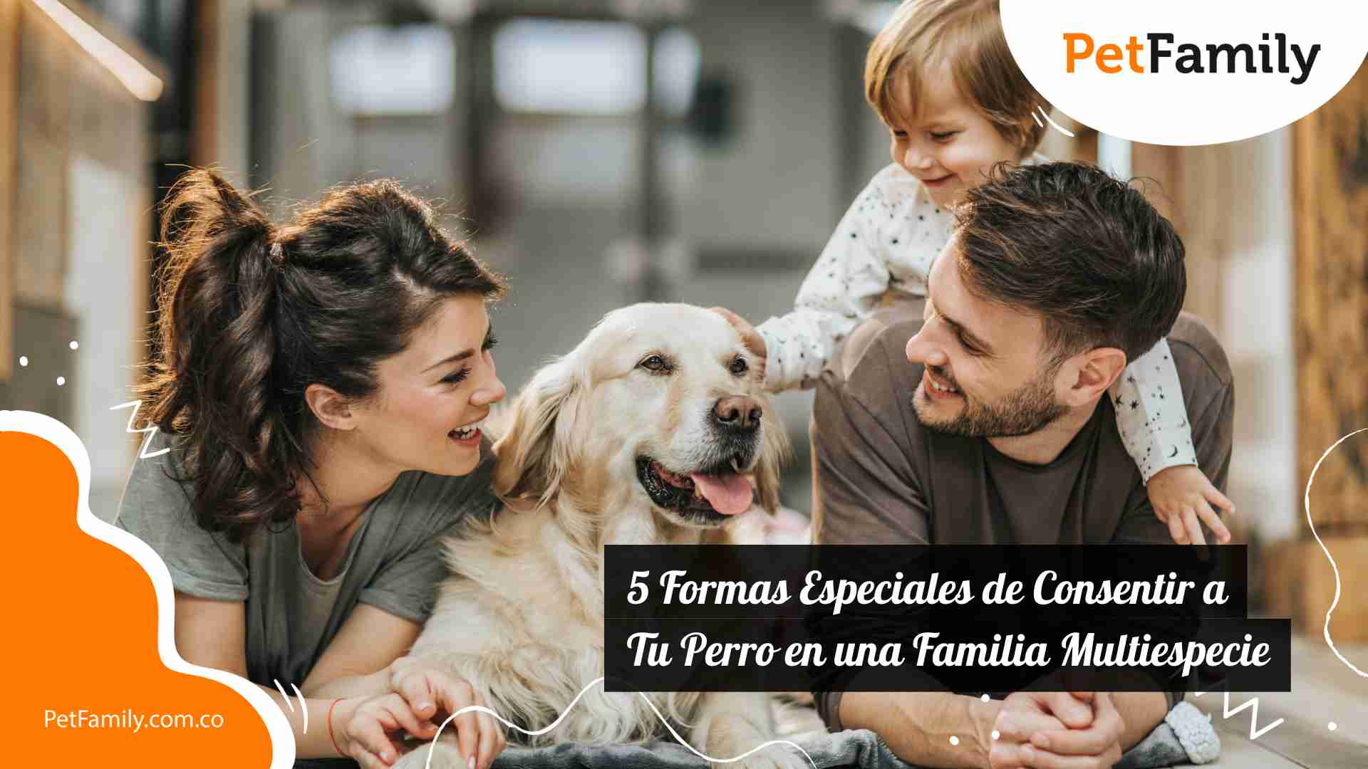5 Formas Especiales de Consentir a Tu Perro en una Familia Multiespecie