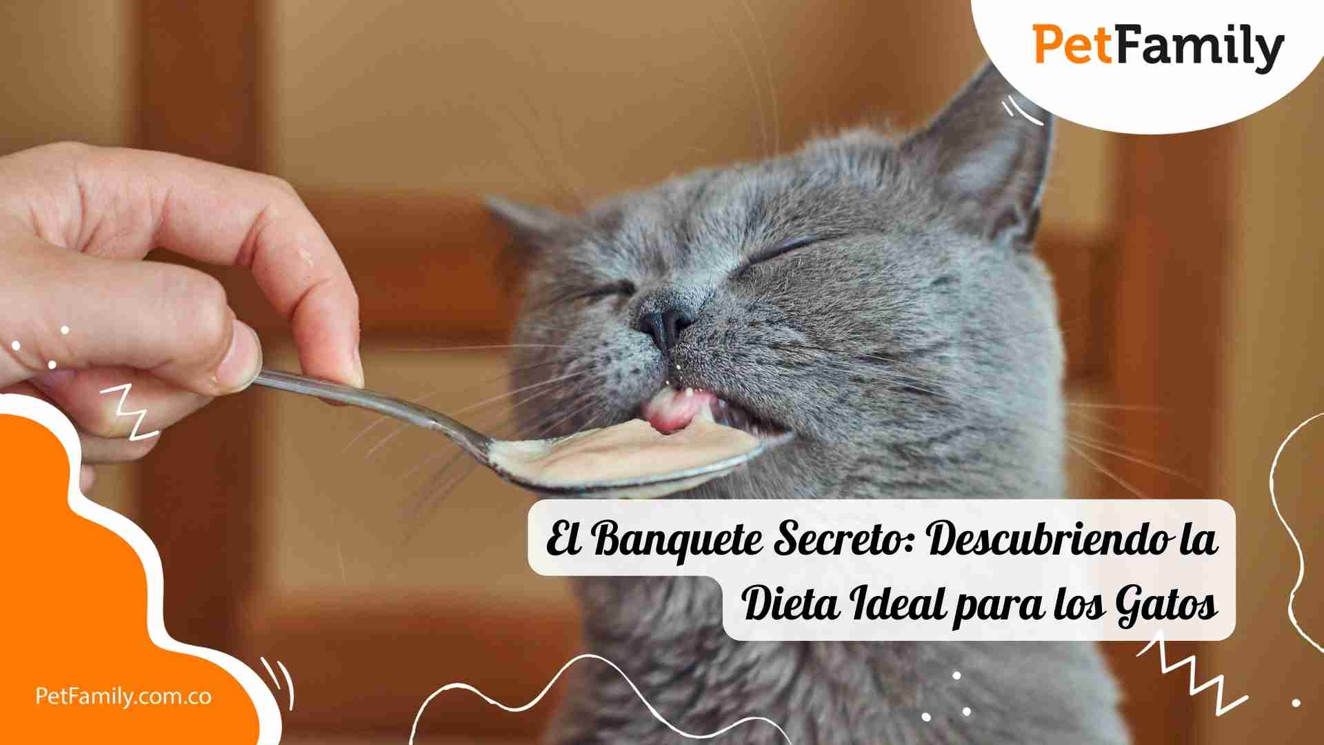 El Banquete Secreto: Descubriendo la Dieta Ideal para los Gatos