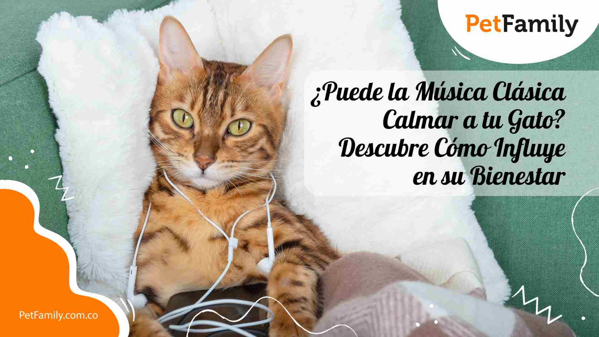 ¿Puede la Música Clásica Calmar a tu Gato? Descubre Cómo Influye en su Bienestar