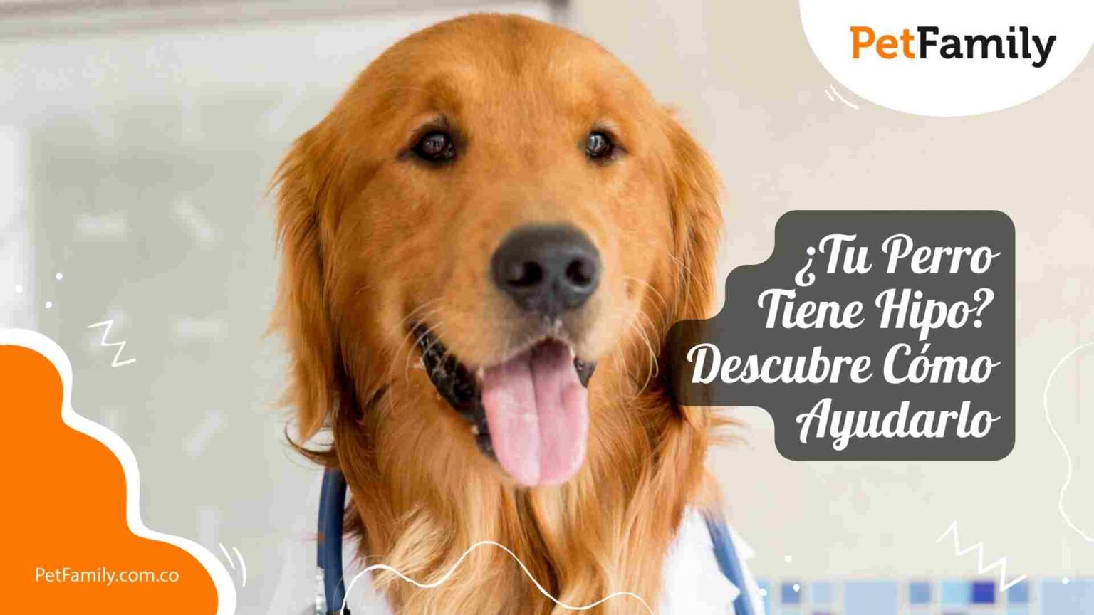 Pet Family - La Comunidad de las Mascotas y sus Familias