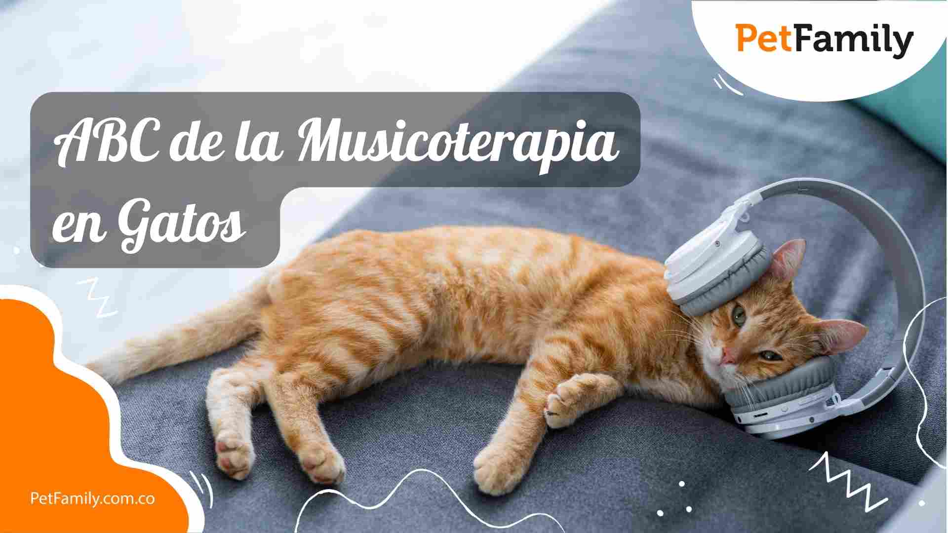 ABC de la Musicoterapia en Gatos
