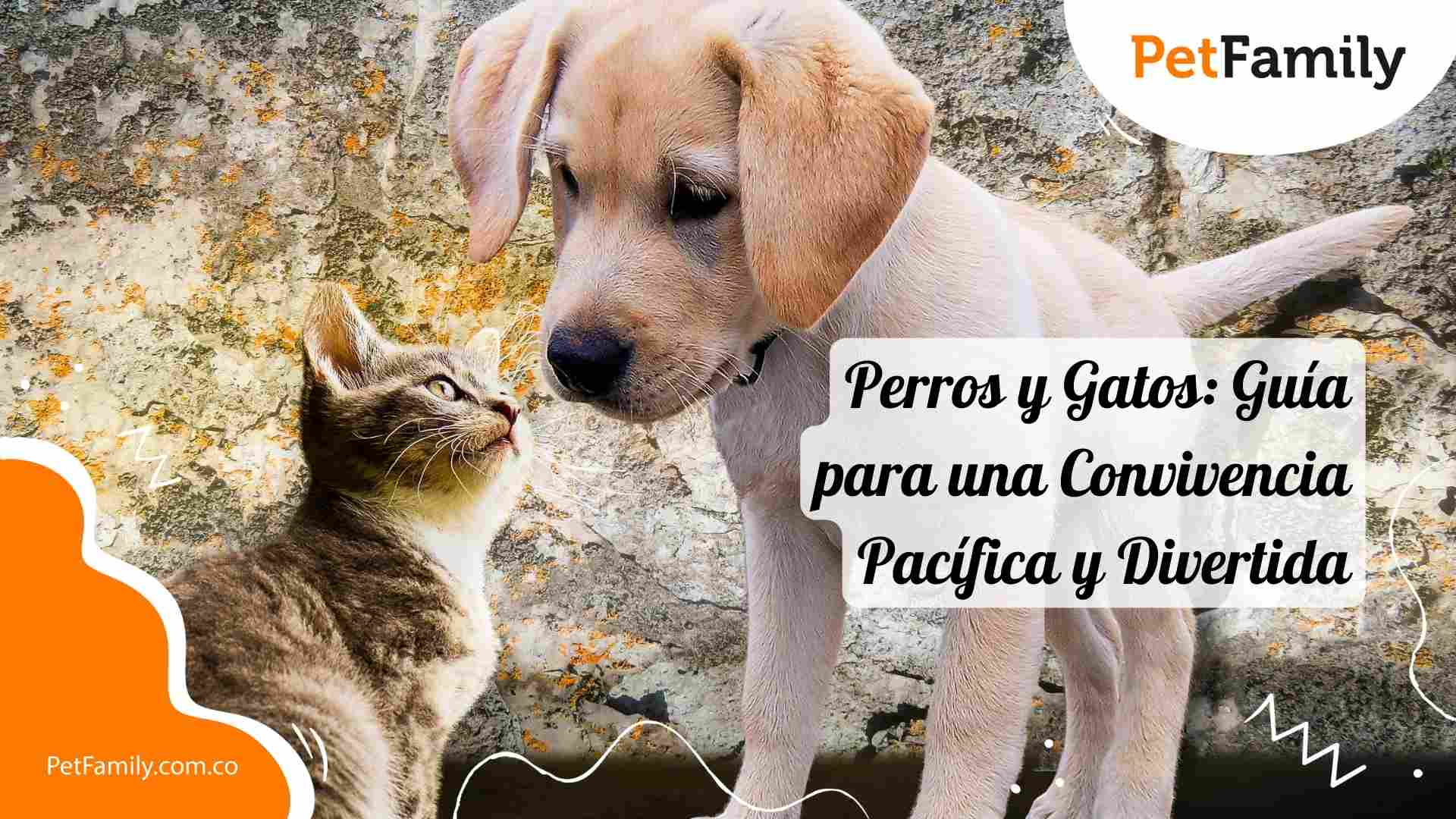 Perros y Gatos: Guía para una Convivencia Pacífica y Divertida