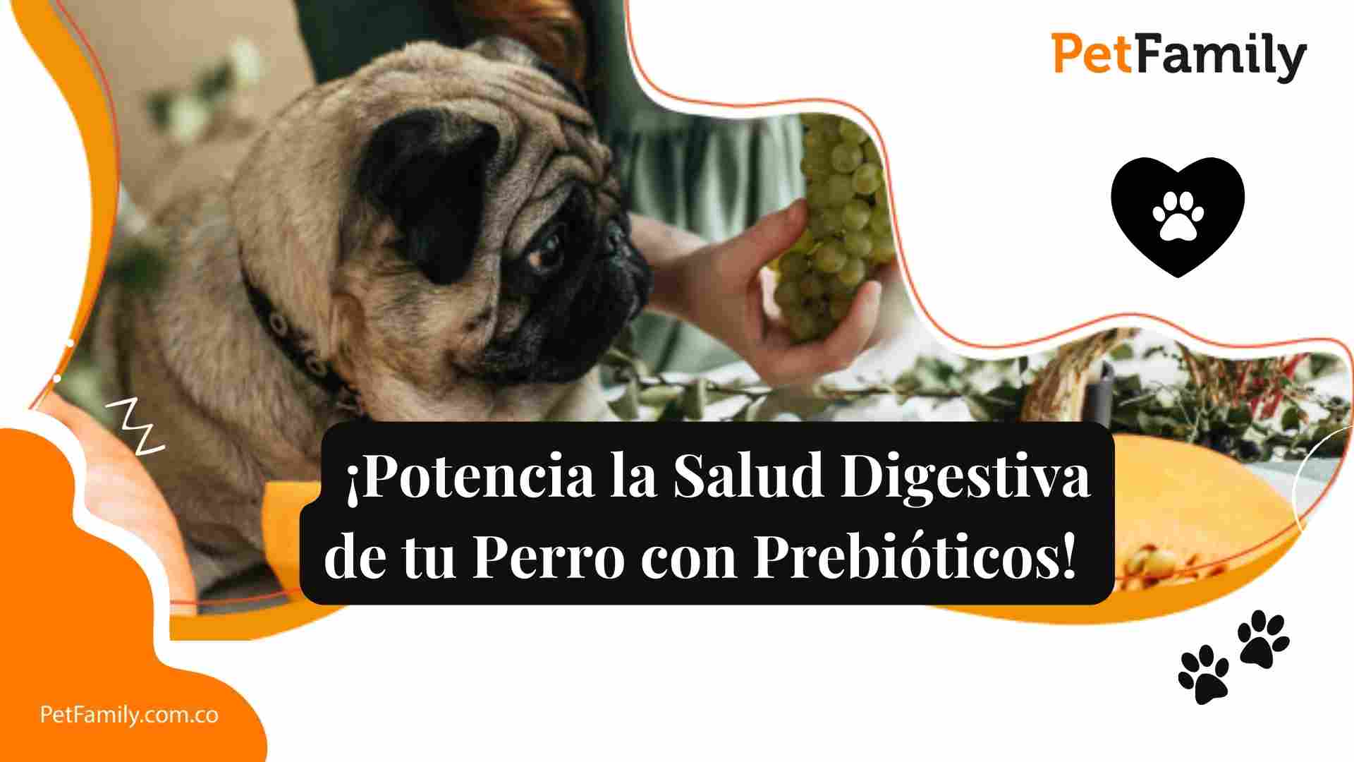 ¡Potencia la Salud Digestiva de tu Perro con Prebióticos! 