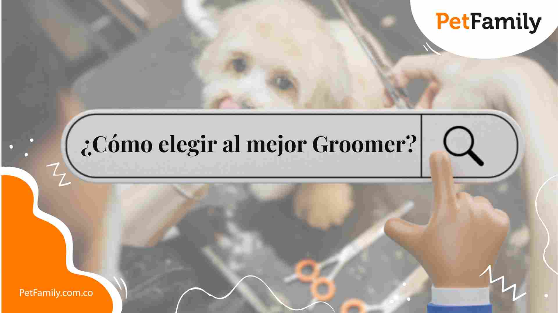 ¿Cómo elegir al mejor Groomer? 