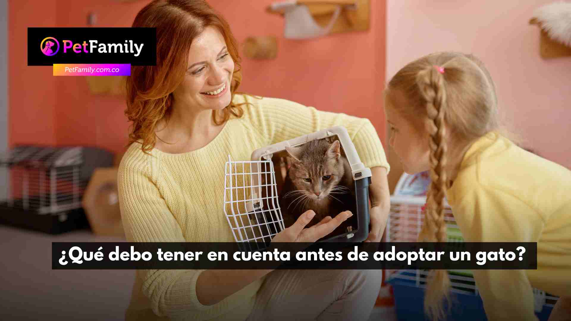 ¿Qué debo tener en cuenta antes de adoptar un gato? 