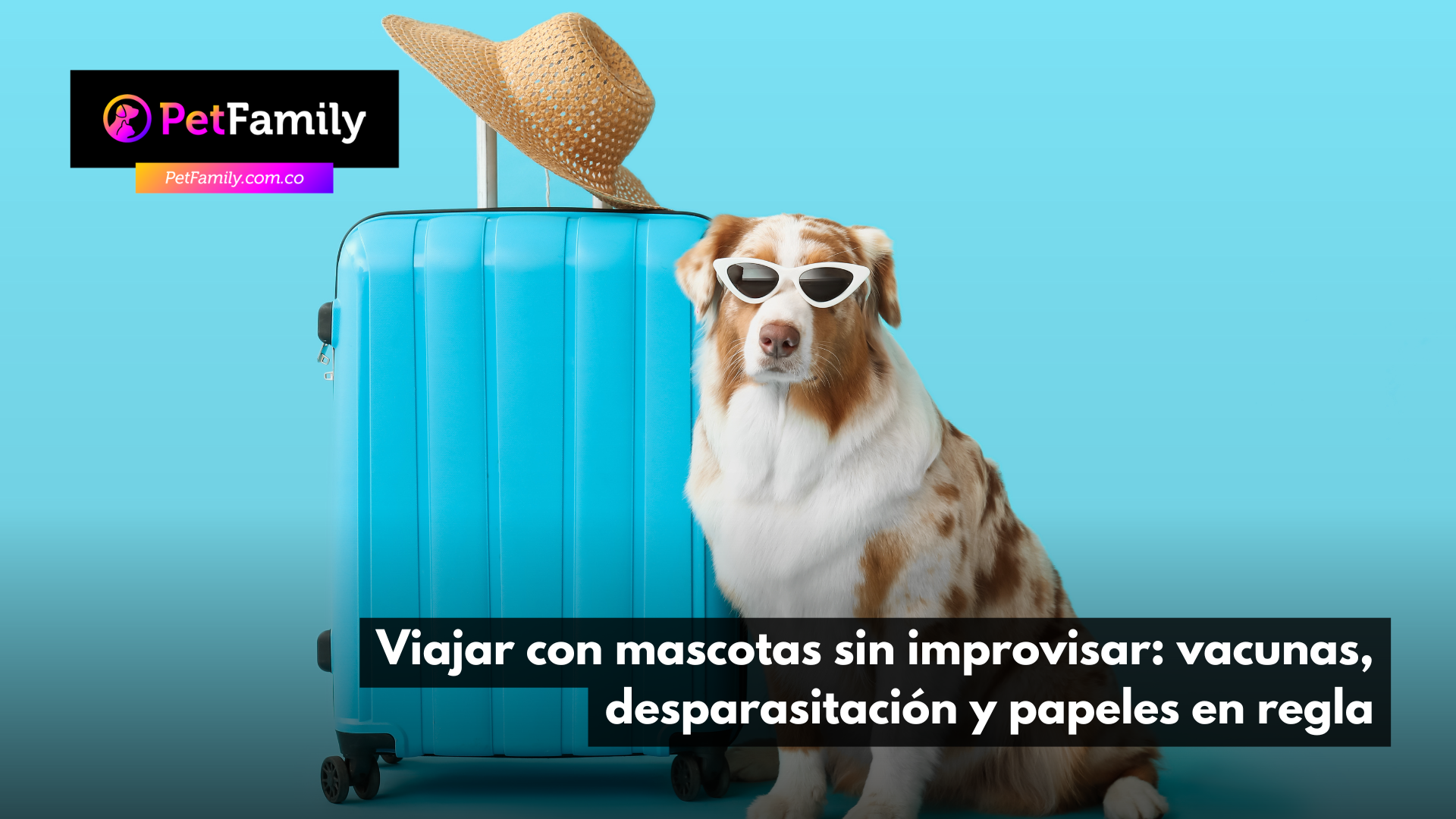 Viajar con mascotas sin improvisar: vacunas, desparasitación y papeles en regla