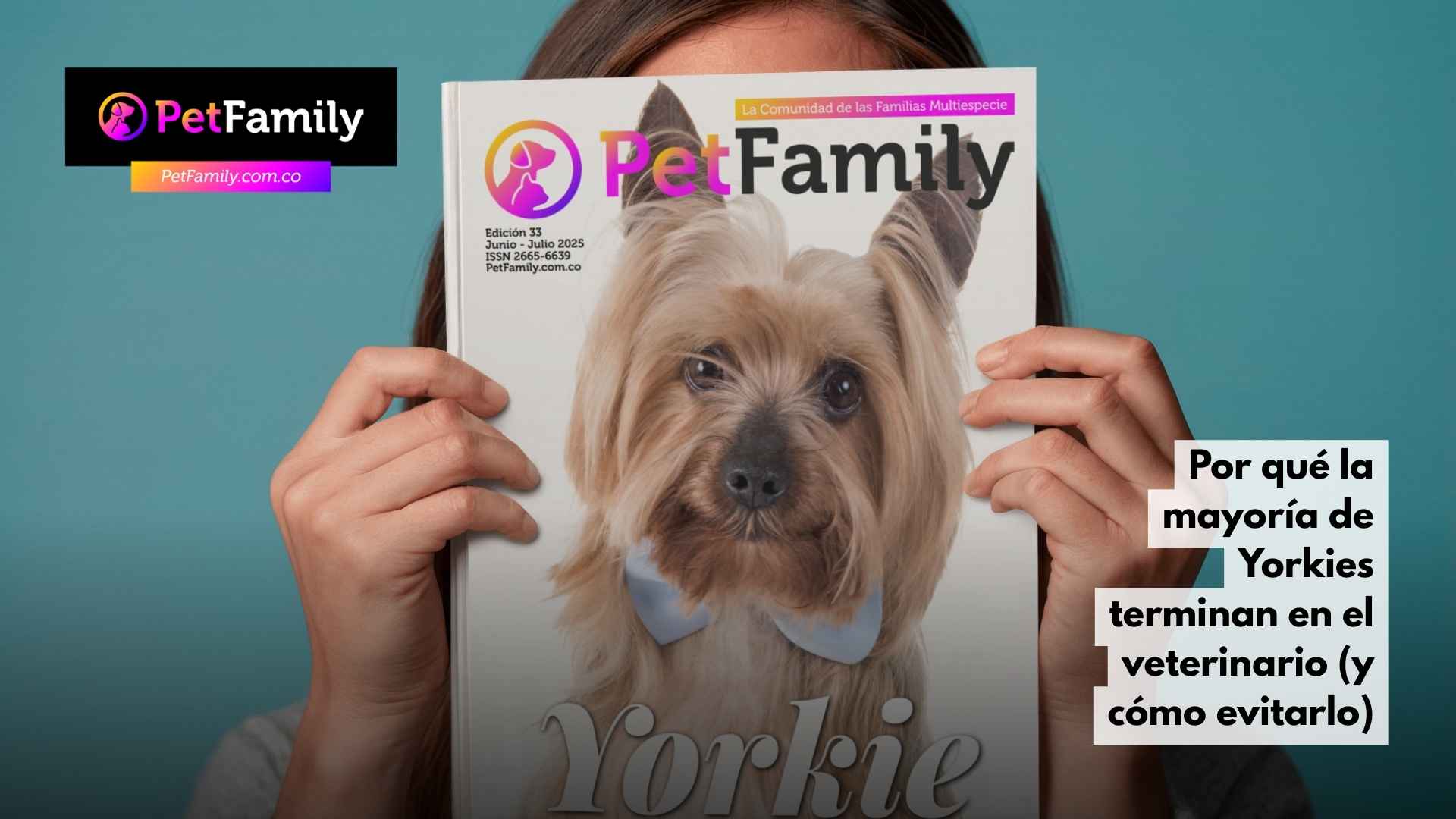 Por qué la mayoría de Yorkies terminan en el veterinario (y cómo evitarlo)