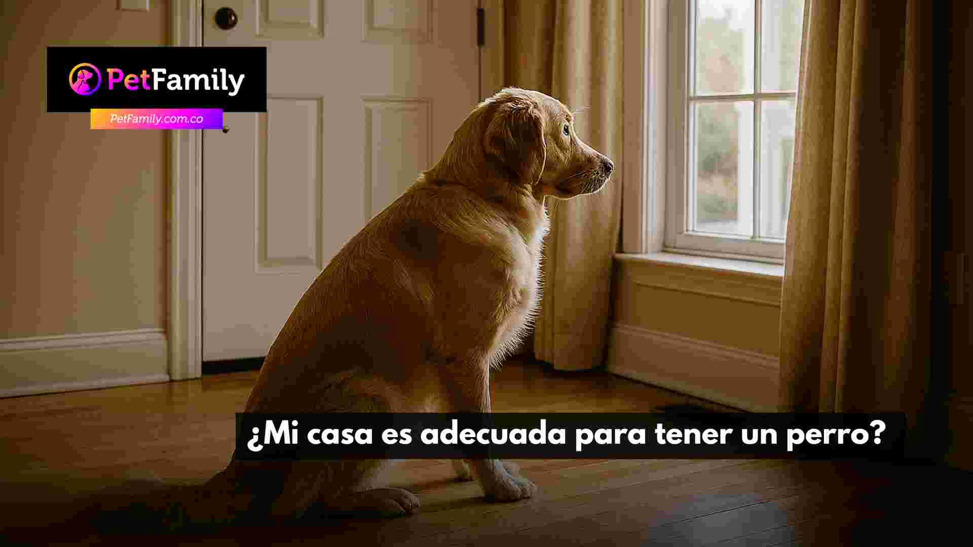 ¿Mi casa es adecuada para tener un perro?