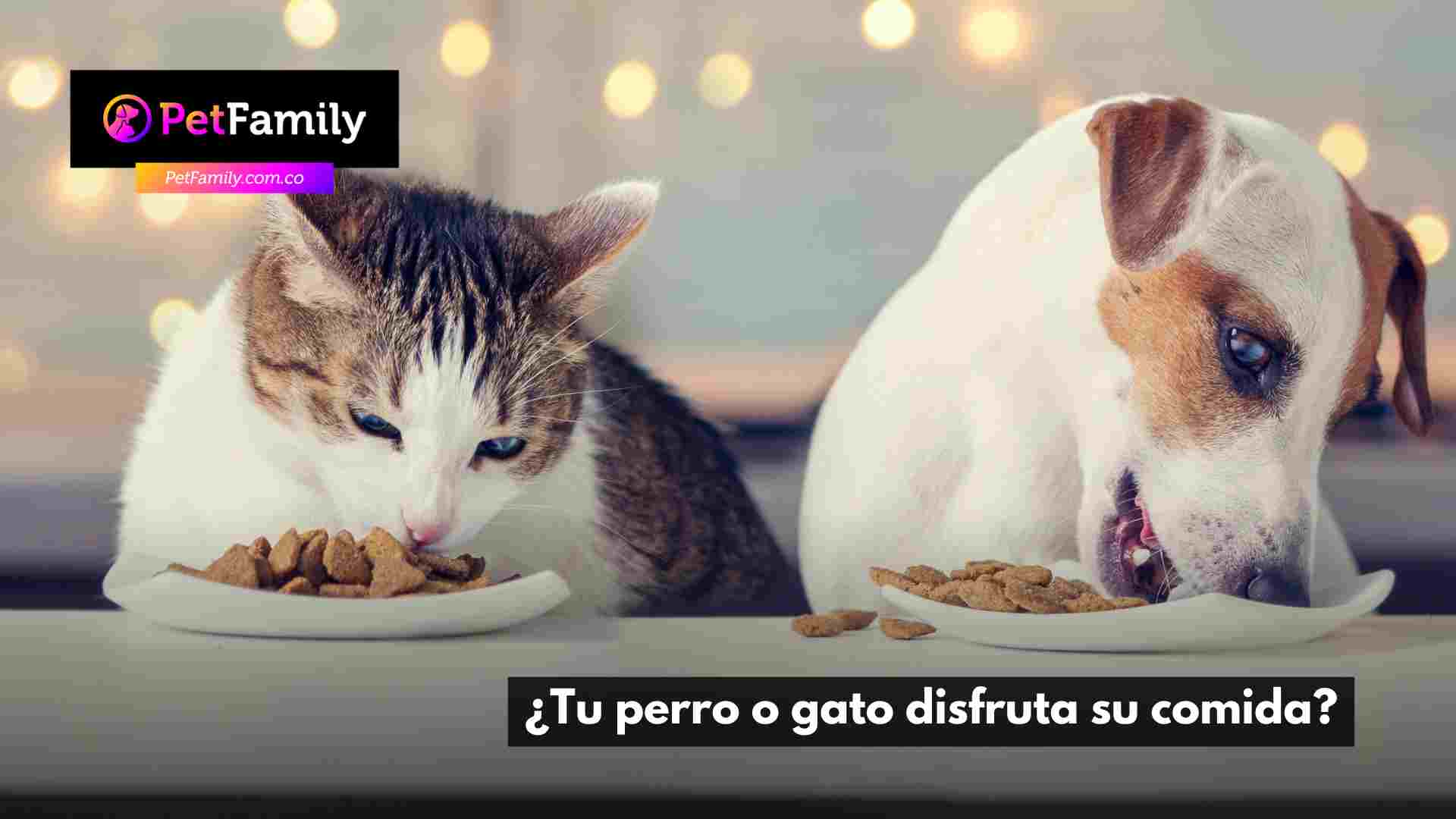 ¿Tu perro o gato disfruta su comida?