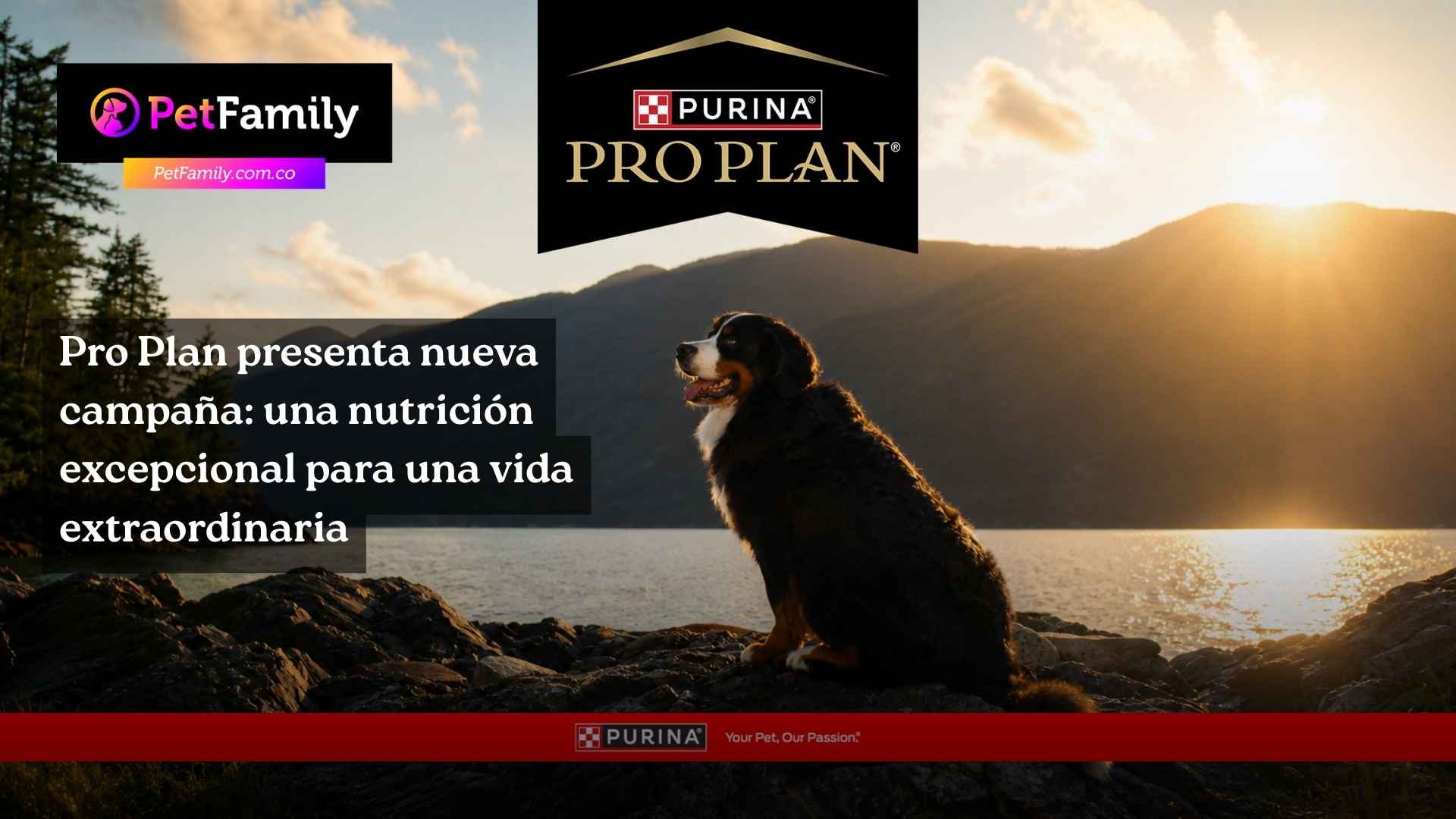 Pro Plan presenta nueva campaña: una nutrición excepcional para una vida extraordinaria