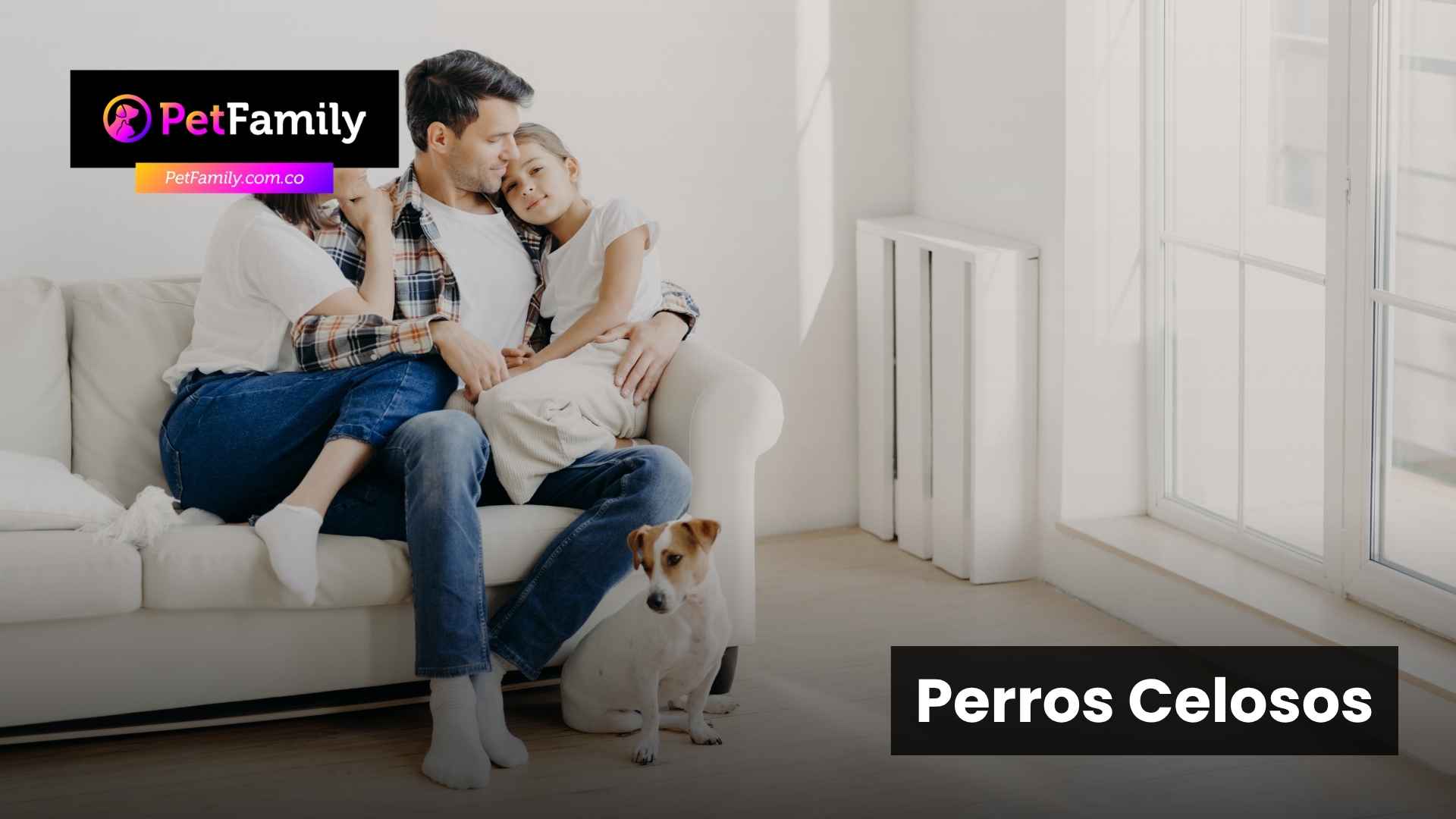 Perro celoso: señales que importan y qué puedes hacer en casa